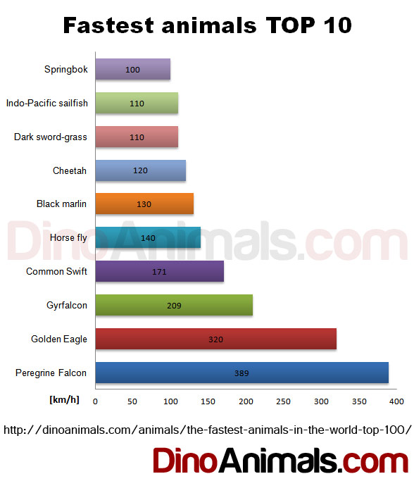 Fastest animals TOP 10 - chart speed in km/h.