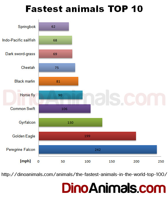 Fastest animals TOP 10 - chart speed in mph.