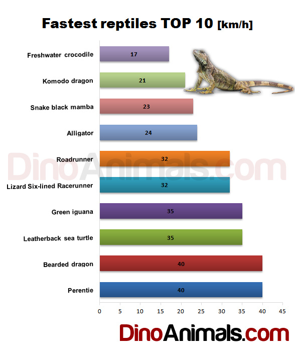 The fastest reptiles Top 10 [km/h]