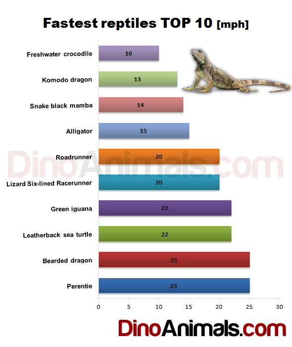 The fastest reptiles Top 10 [mph]