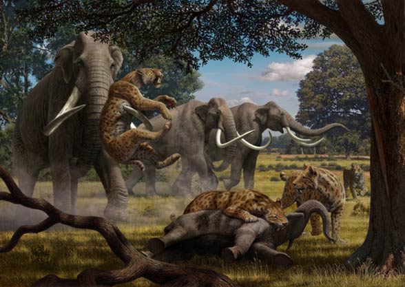 Megafauna