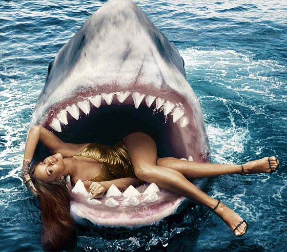 Sharks
