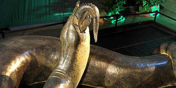 Titanoboa (Titanoboa cerrejonensis)