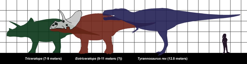 Tyrannosaurus, Triceratops and human size.