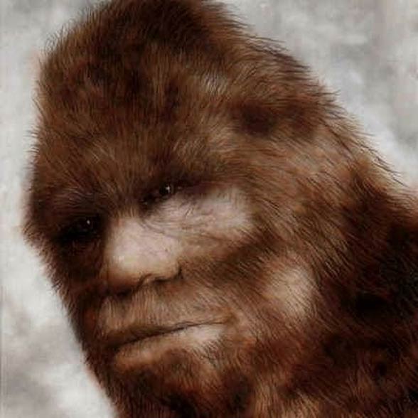 Yowie